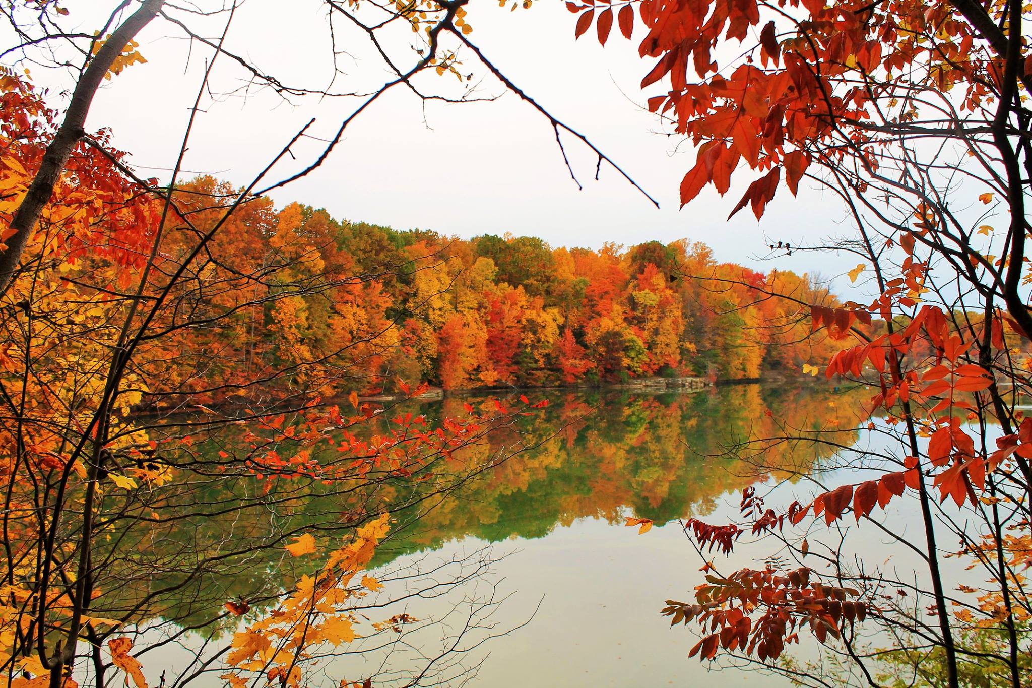 Fifty years in photographs. — cliff jumping at Nelson Ledges Quarry Park